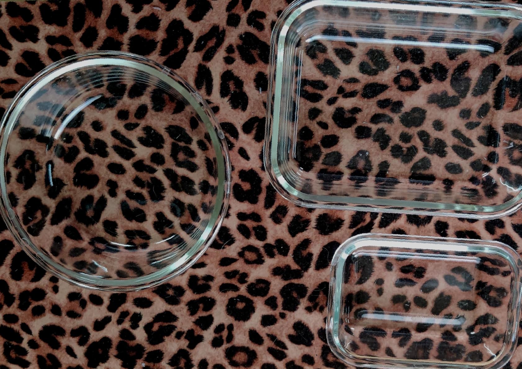 Amazon Basics Glass Food Storage Containers, Leak Proof, Oven Safe, Easy to Clean, Stain Resistant, Set of 7, 14 Pieces Including Lids, BPA-Free, Clear with Blue Silicone Ring customer photo 2