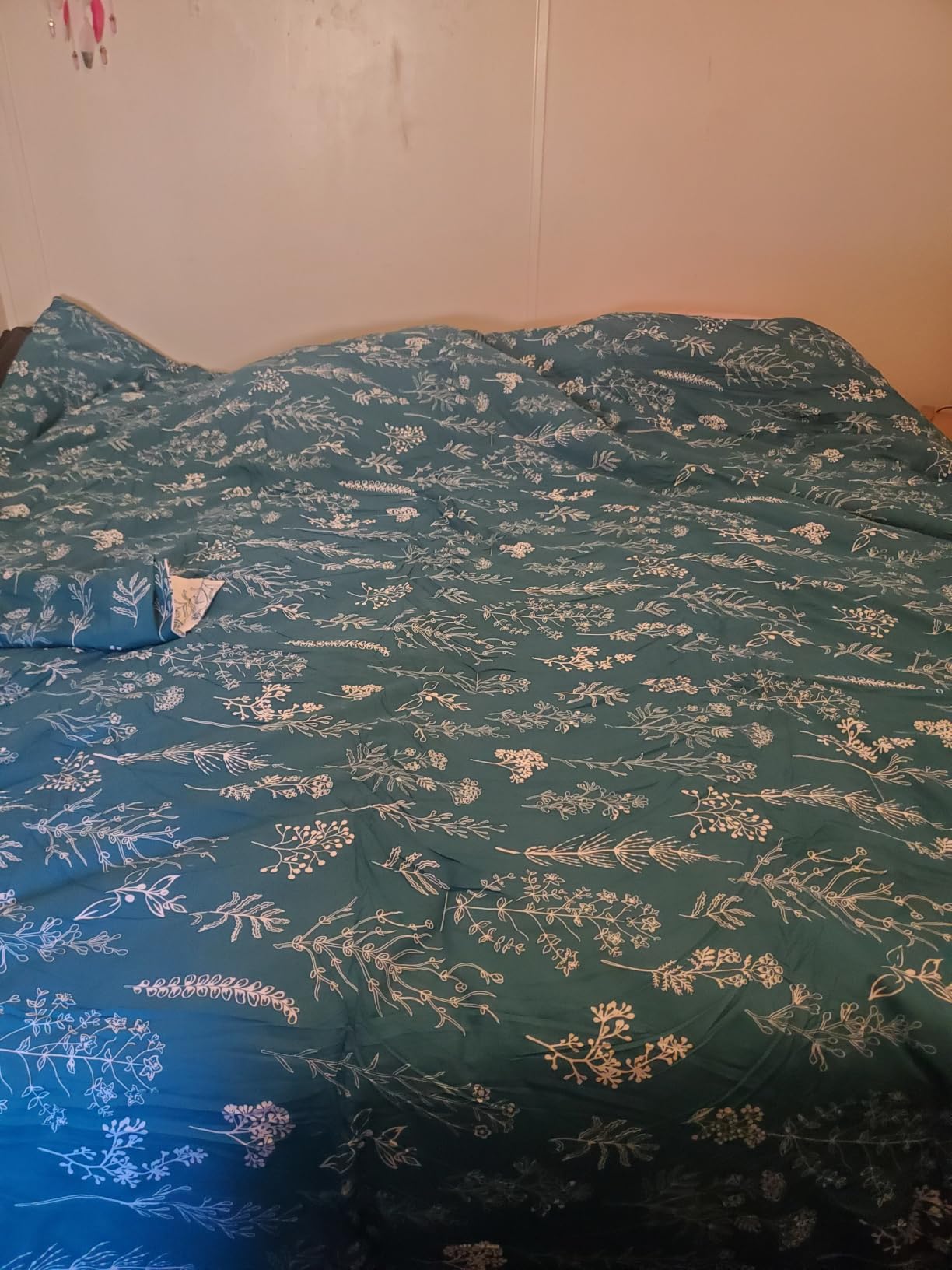 Bedsure Queen Comforter Set - Sage Green Bed Set, 3 Pieces Lightweight Summer Cute Floral Bedding, 1 Soft Reversible Botanical Flowers Comforter and 2 Pillow Shams customer photo 1