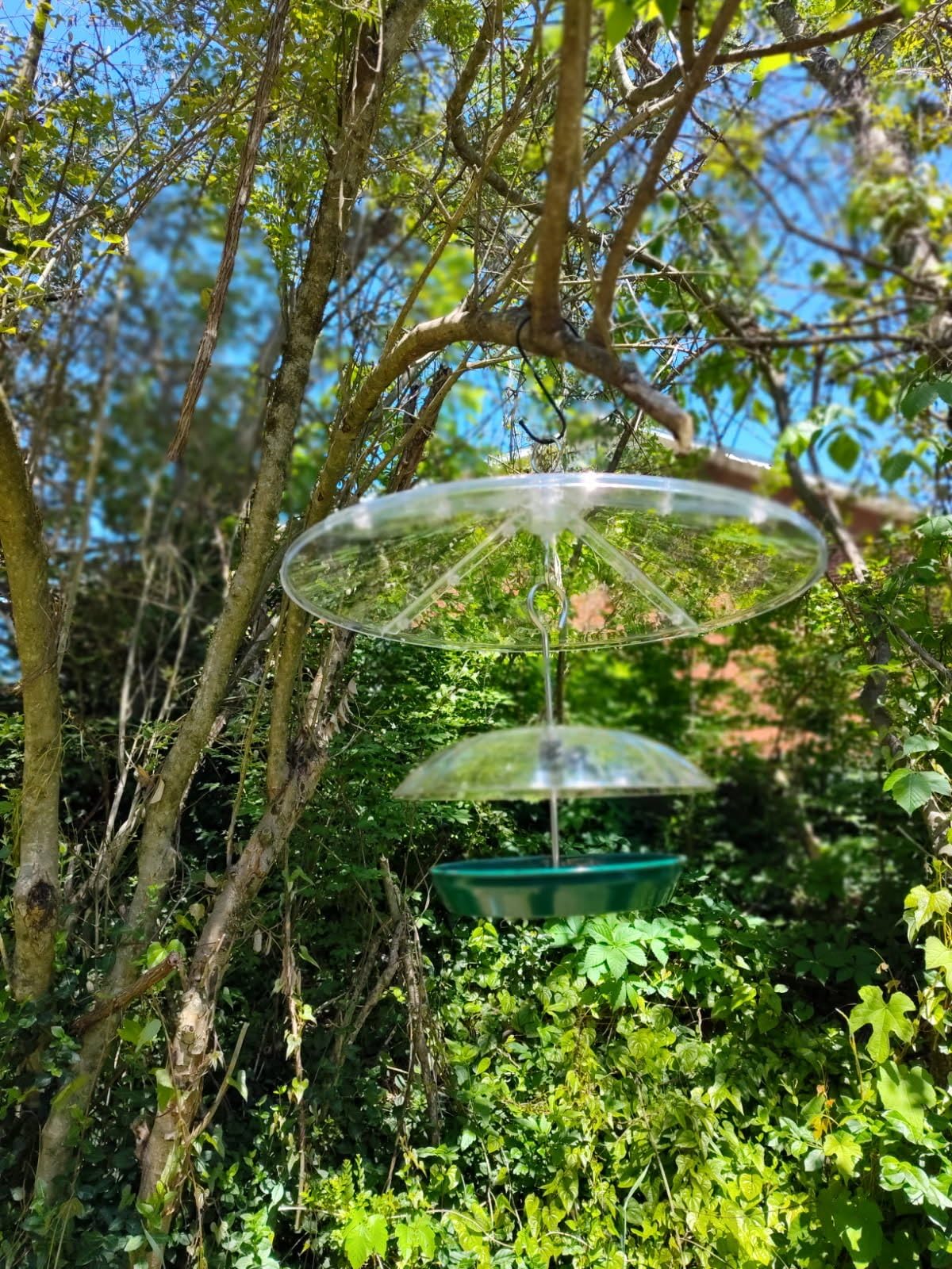 Kingsyard Platform Bird Feeder with Adjustable Dome for Outdoors Hanging | Metal Tray, Adjustable Dome, Adjustable Bird Access, Rain-Resistant, Drainage Holes, Seed & Mealworm Feeder, Black customer photo 2