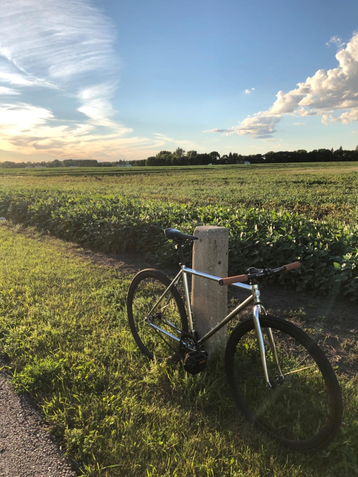 Golden Cycles Fixed Gear Single Speed Bike - Perfect Urban Commuter Bicycle with Front and Rear Brakes - Ideal for Teens and Adults - The Bike Comes in Different Sizes customer photo 1