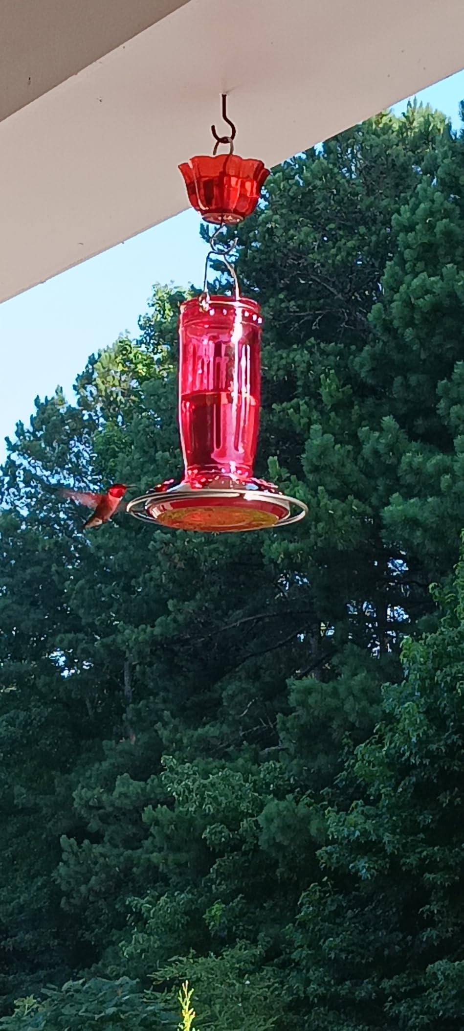Kingsyard Glass Hummingbird Feeder for Outdoors Wild Bird Feeder with 6 Feeding Ports Hanging for Garden Yard, Red (Ant Moat Included) customer photo 1