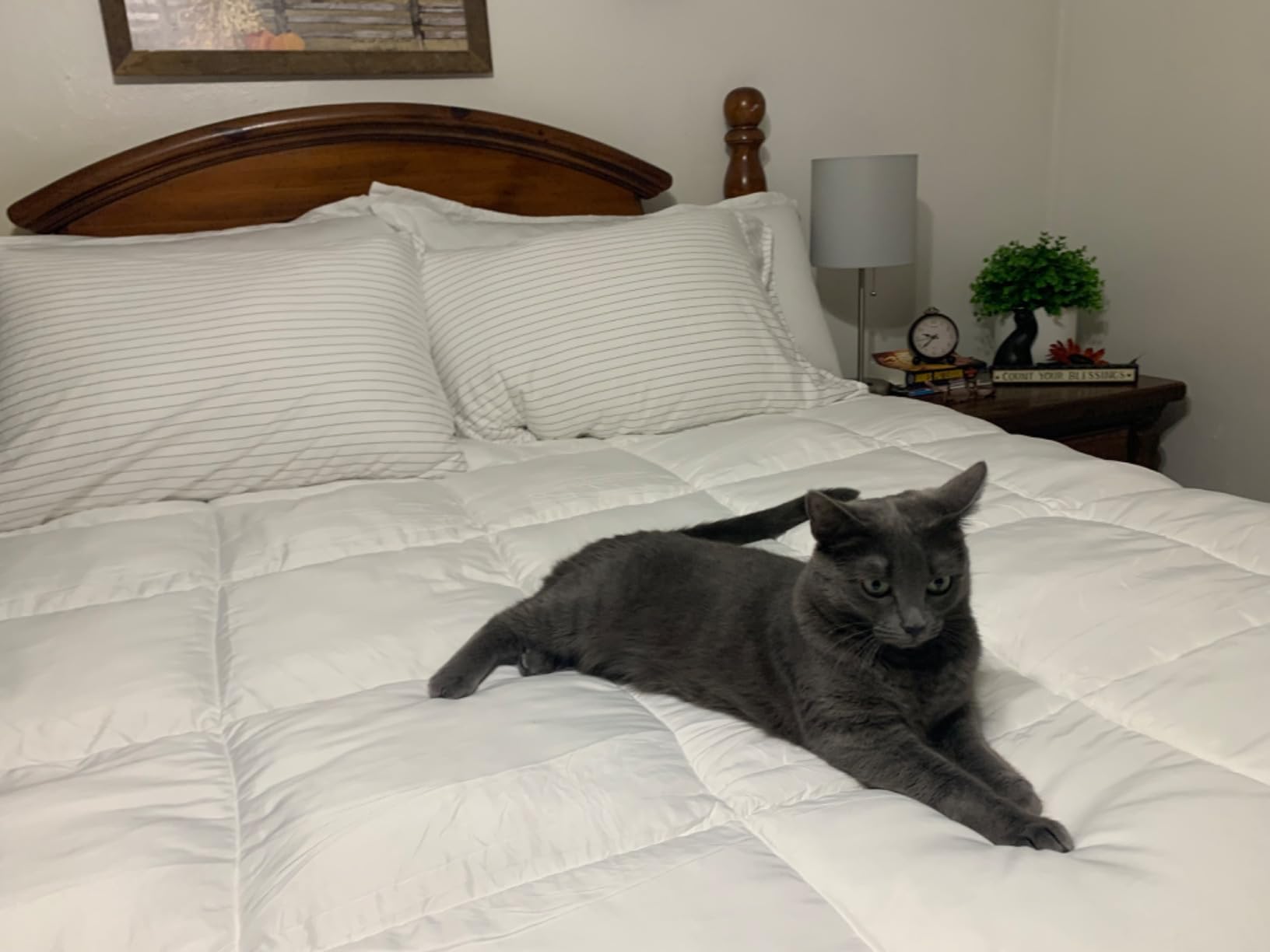 Serta Down Illusion All Season Down Alternative Comforter, Full/Queen | All season down alternative comforter with hypoallergenic fill and corner loops for year-round comfort customer photo 2