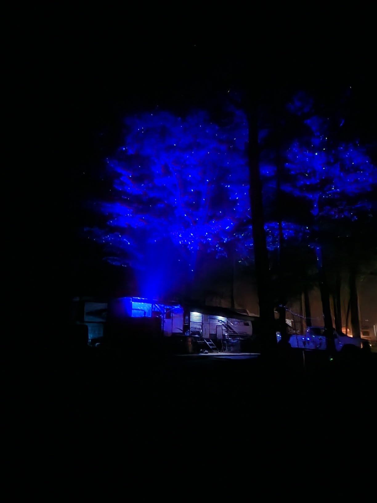 Firefly Garden Lights Star Projector Laser Christmas Lights for Garden Lawns Courtyard customer photo 2