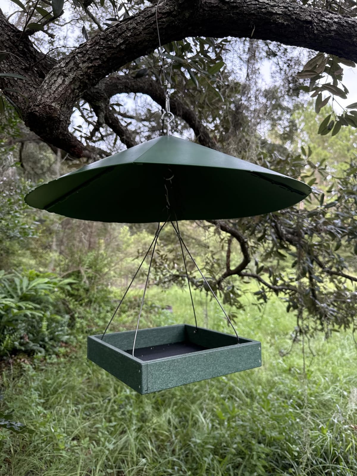 Kingsyard Platform Bird Feeder for Outdoors, Hanging Feeding Tray | Recycled Poly Lumber, Weatherproof, 11x11 Tray, Holds up to 3 lbs Seeds or Mealworms, Easy Clean & Refill, Brown customer photo 1