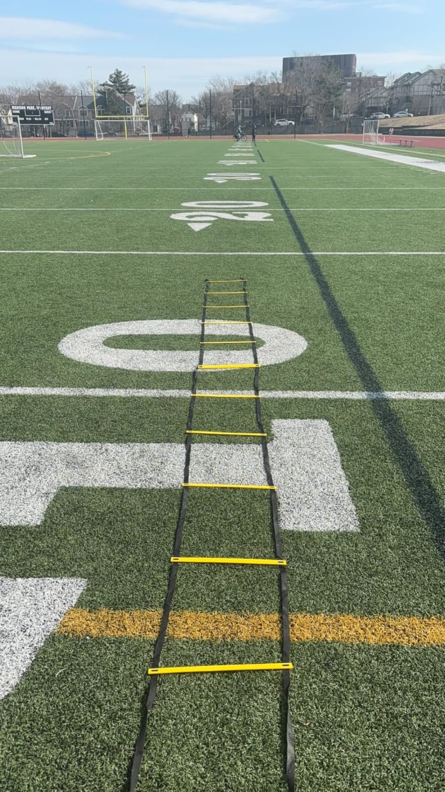 Teenitor Agility Ladder Speed Ladder Training Ladder for Soccer, Speed, Football Fitness Feet Training Carry Bag Agility Training Equipment 13 rungs, 23 feet customer photo 2