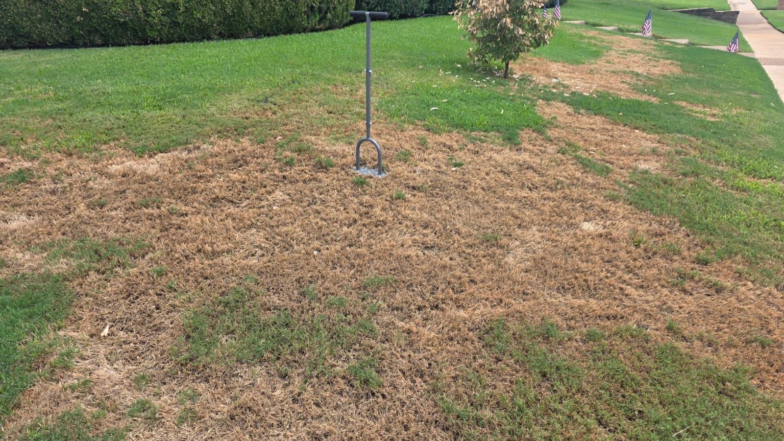 Walensee Aerator Lawn Tool, 15-Spike Manual Lawn Aerator Tool for Yard customer photo 1
