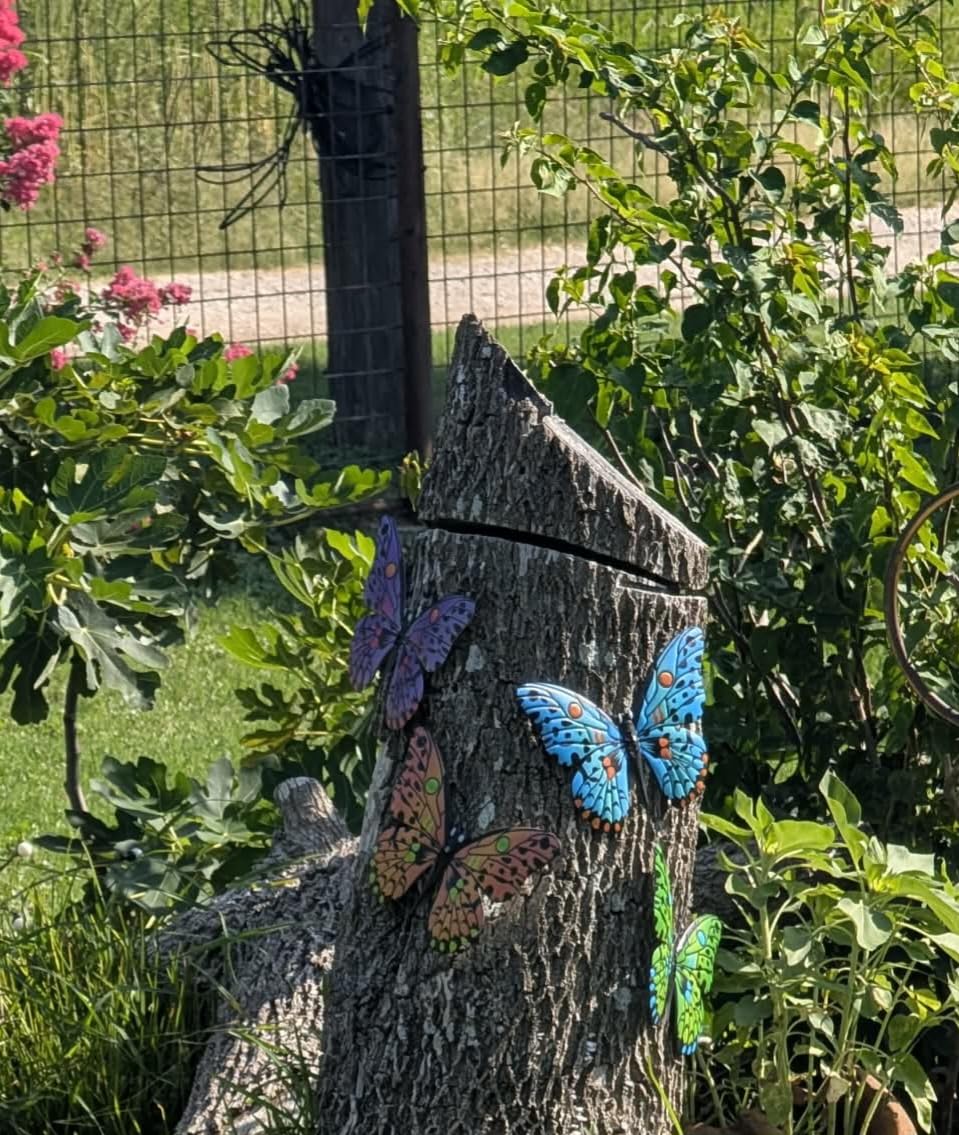 Metal Butterfly Wall Decor - 9.6