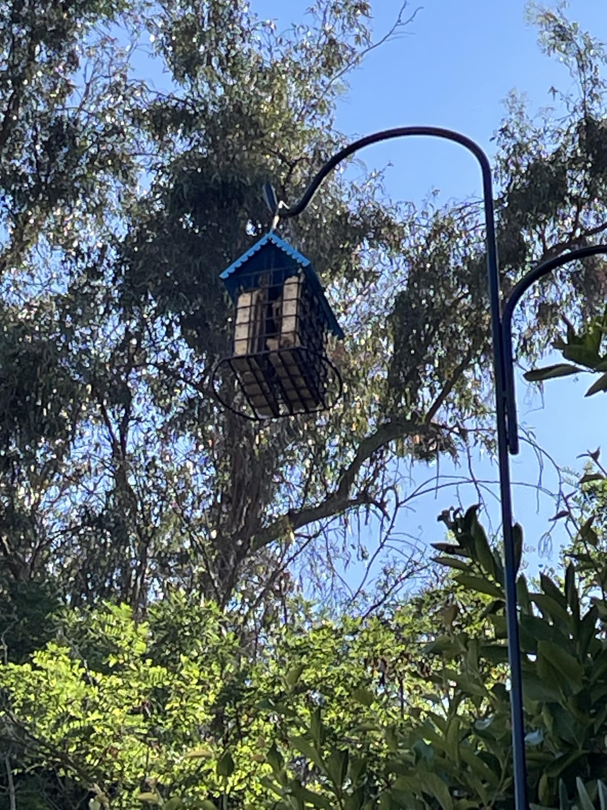 Kingsyard All Metal Double Suet Bird Feeder with Perch, Weatherproof Roof, Easy to Clean and Refill, Suet Cakes Cage Great for Woodpecker and Suet-Loving Backyard Birds, Black customer photo 2