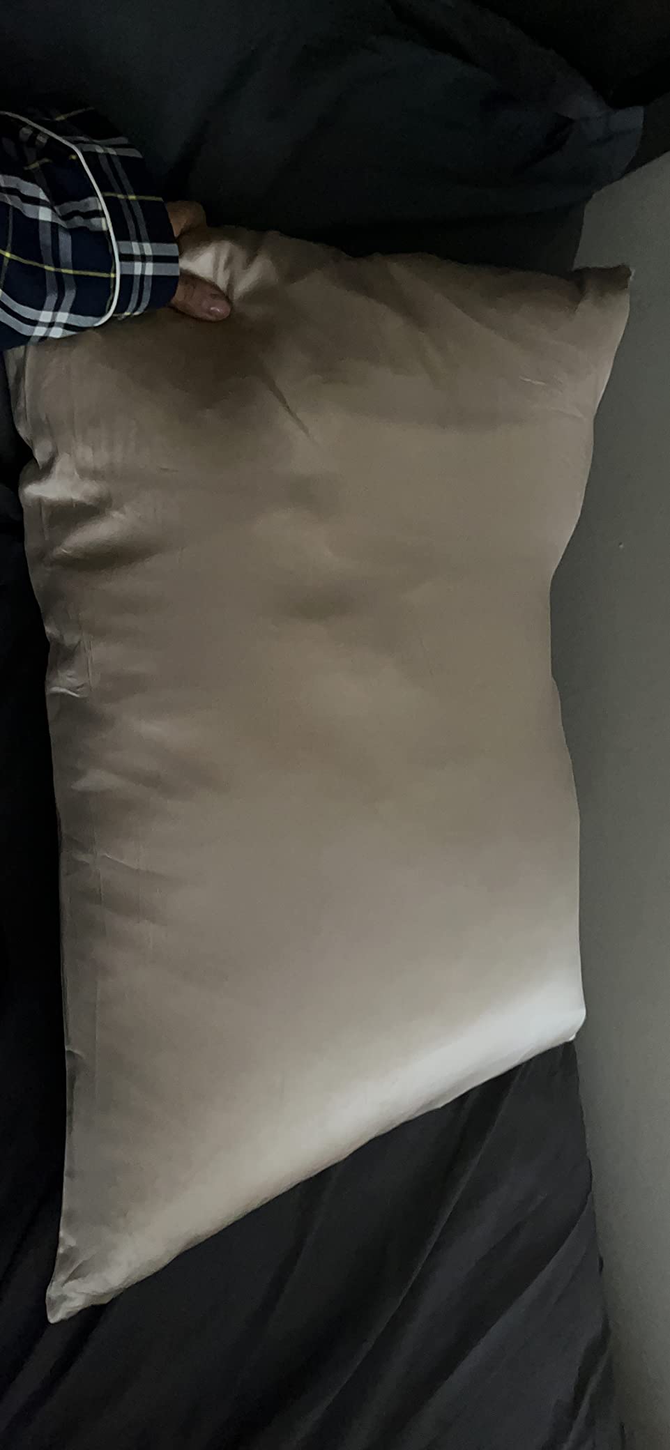 PROMEED 23 Momme 100% Mulberry Silk Pillowcase for Hair and Skin, Standard | Grade 6A+ Organic Silk Reduces Friction To Prevent Hair Breakage, Bedhead & Frizz customer photo 1