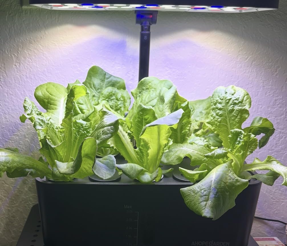 Ahopegarden Indoor Garden Hydroponics Growing System: 10 Pods Kit with LED | Plant Germination Kit Herb Vegetable Growth Lamp Countertop, Hydroponic Planter Grower Harvest Lettuce for Healthy Home Cooks customer photo 1