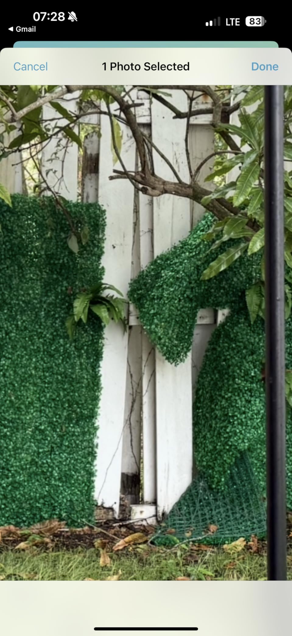 TOPDEEP 24PCS Boxwood Panels, 24
