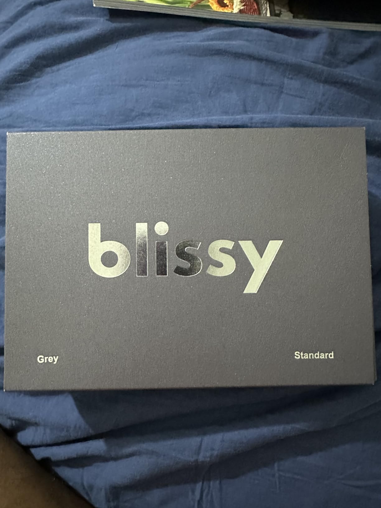 Blissy Silk Pillowcase - 100% Pure Mulberry Silk - 22 Momme 6A High-Grade Fibers - Silk Pillow Cover for Hair & Skin - Regular, Queen & King (Blissy White, Standard) customer photo 2