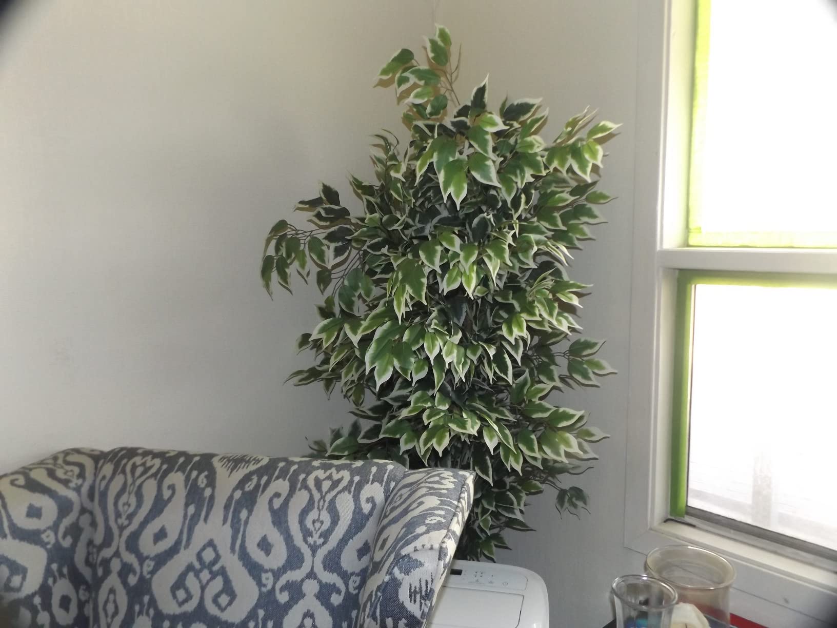 GTIDEA 6FT Artificial Ficus Tree with Real Wood Trunks, Faux Tree Indoor | Fake Floor Plant with Nursery Pot Tall Fake Silk Tree Faux Plant for Indoor Outdoor Home Garden Office Living Room Decor customer photo 2