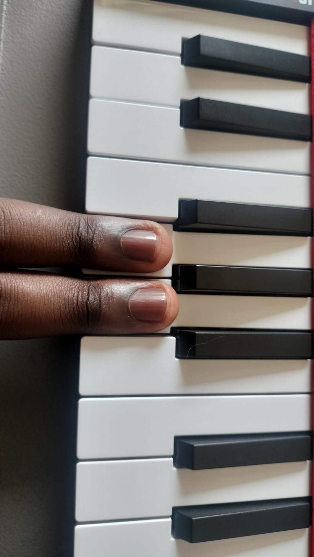 Akai Professional LPK25 25-Key USB MIDI Keyboard Controller | Velocity-Sensitive Mini Keys, Arpeggiator, Universal DAW Compatibility customer photo 1