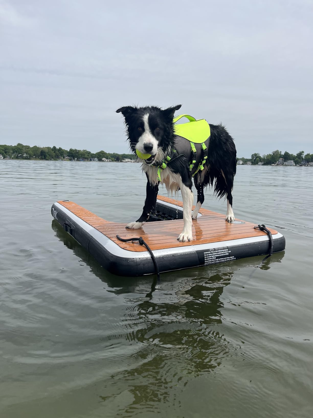 DOK Dog-DOK Inflatable Dock Platform: Safe & Easy Water Access for Dogs Up to 250 lbs customer photo 2