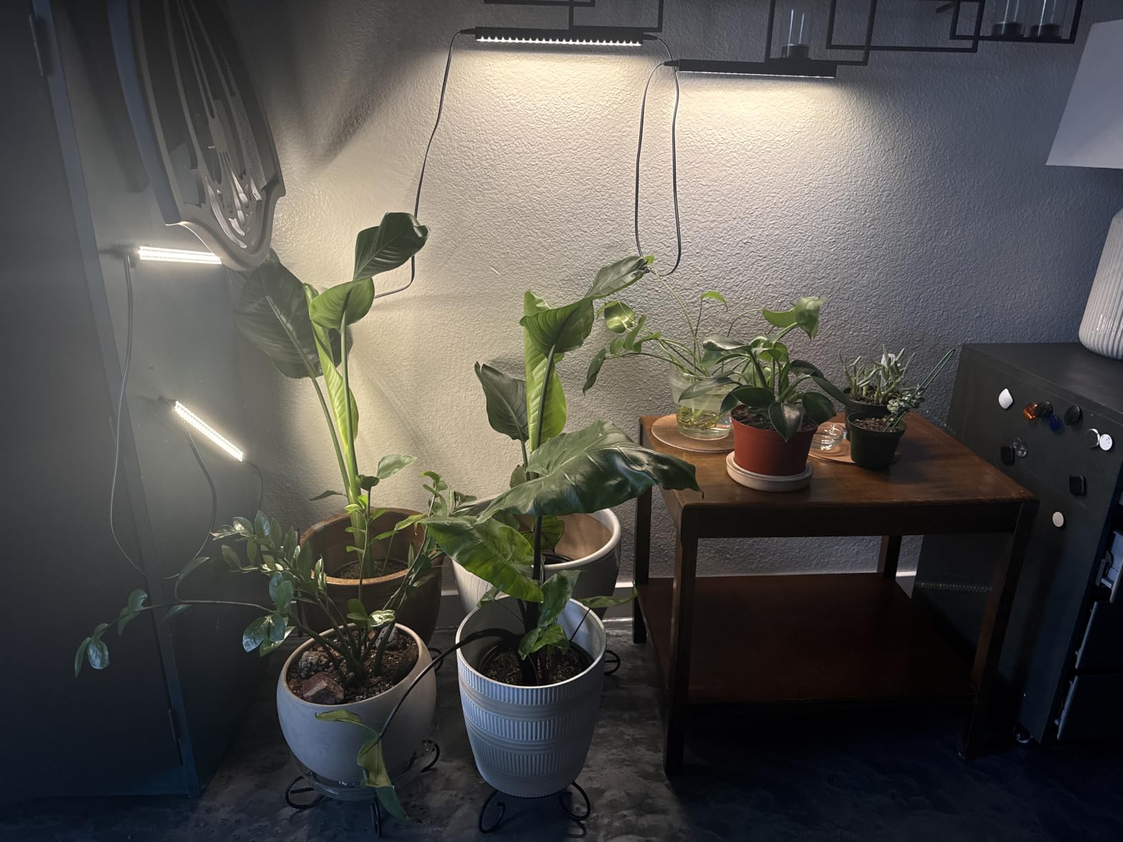 T5 Grow Lights for Indoor Plants, 5000K Full Spectrum, 1FT, 4 Packs | 1FT LED Growing Lamp, Plant Light Strip for Seed Starting, Vegetables and Greens, Plug and Play, Linkable customer photo 2