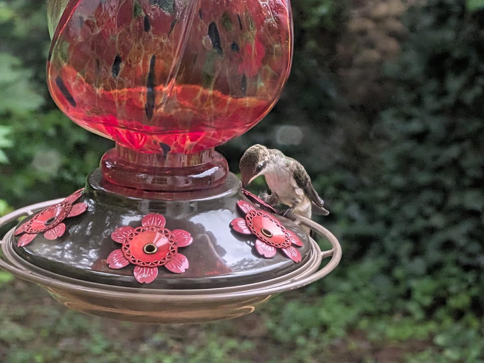 BOLITE Hummingbird Feeders for Outdoors Hanging, Hand Blown, Red, 22oz | Glass Hummingbird Feeder with Ant Moat, 5 Bee-Proof Ports, Leak-Proof, 360° Perch, Garden Decor, Gifts for Women Men Mom Dad customer photo 1