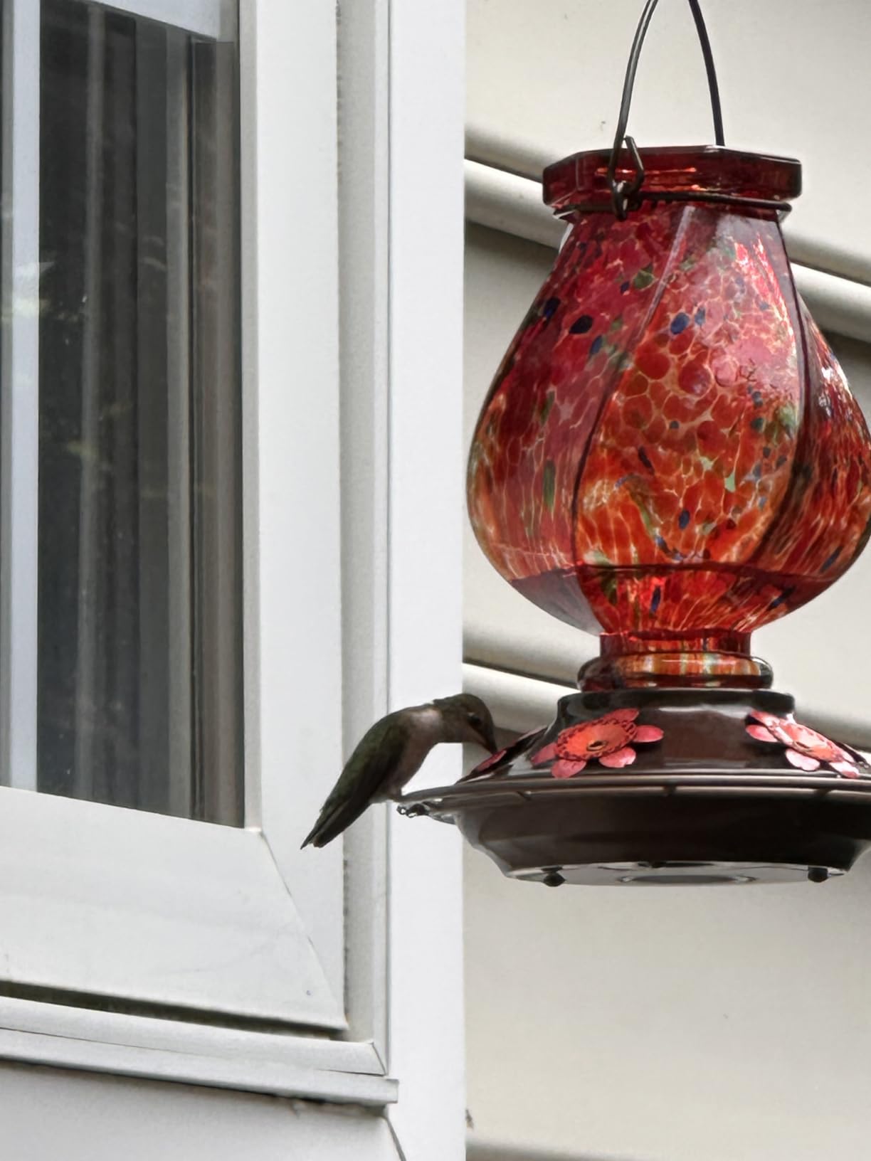 BOLITE Hummingbird Feeders for Outdoors Hanging, Hand Blown, Red, 22oz | Glass Hummingbird Feeder with Ant Moat, 5 Bee-Proof Ports, Leak-Proof, 360° Perch, Garden Decor, Gifts for Women Men Mom Dad customer photo 2