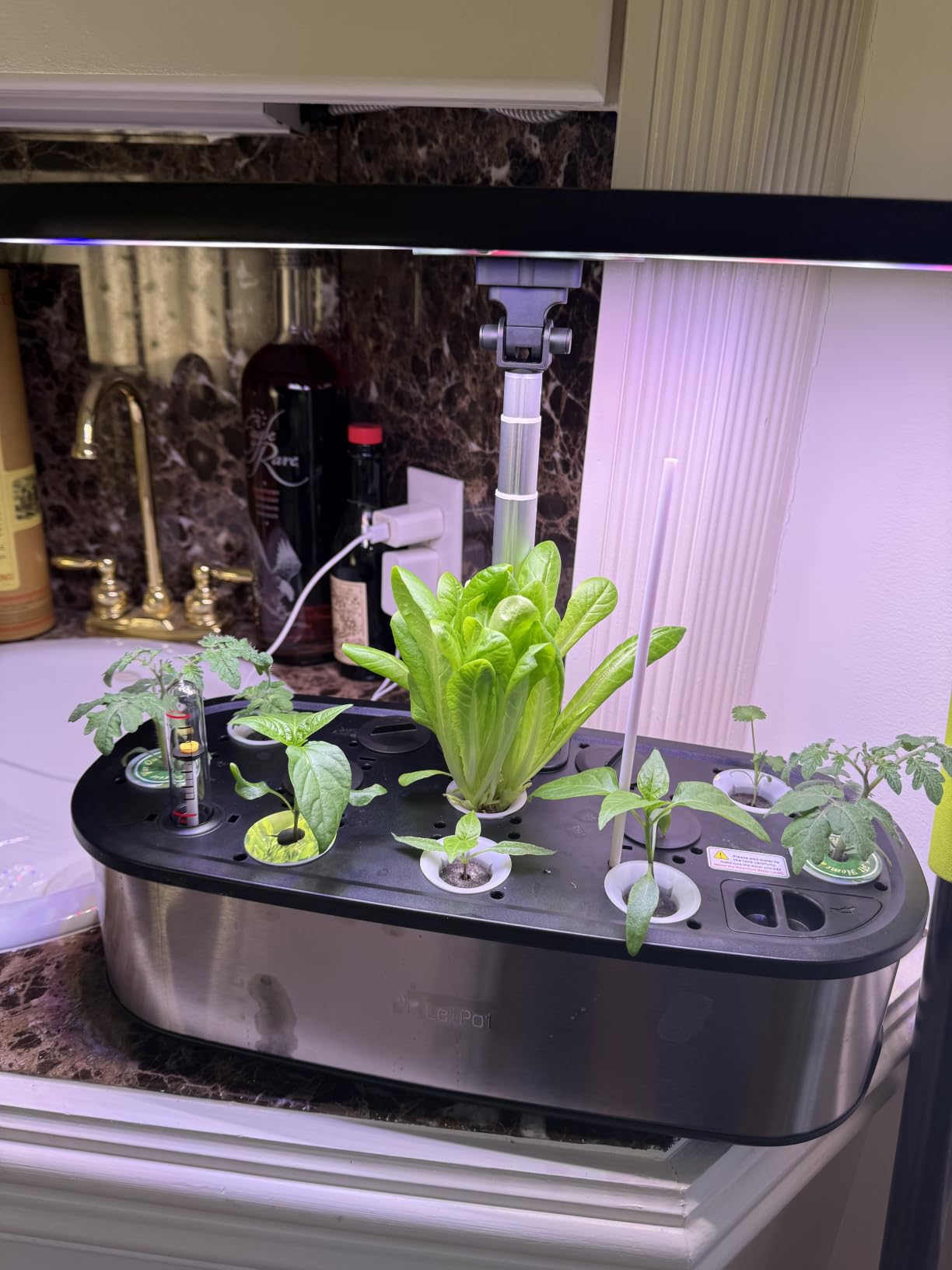 LETPOT LPH-SE Hydroponics Growing System, 12 Pods Smart Herb Garden Kit Indoor, APP & WiFi Controlled, with 24W Growing LED, 5.5L Water Tank, Pump System, Automatic Timer customer photo 1