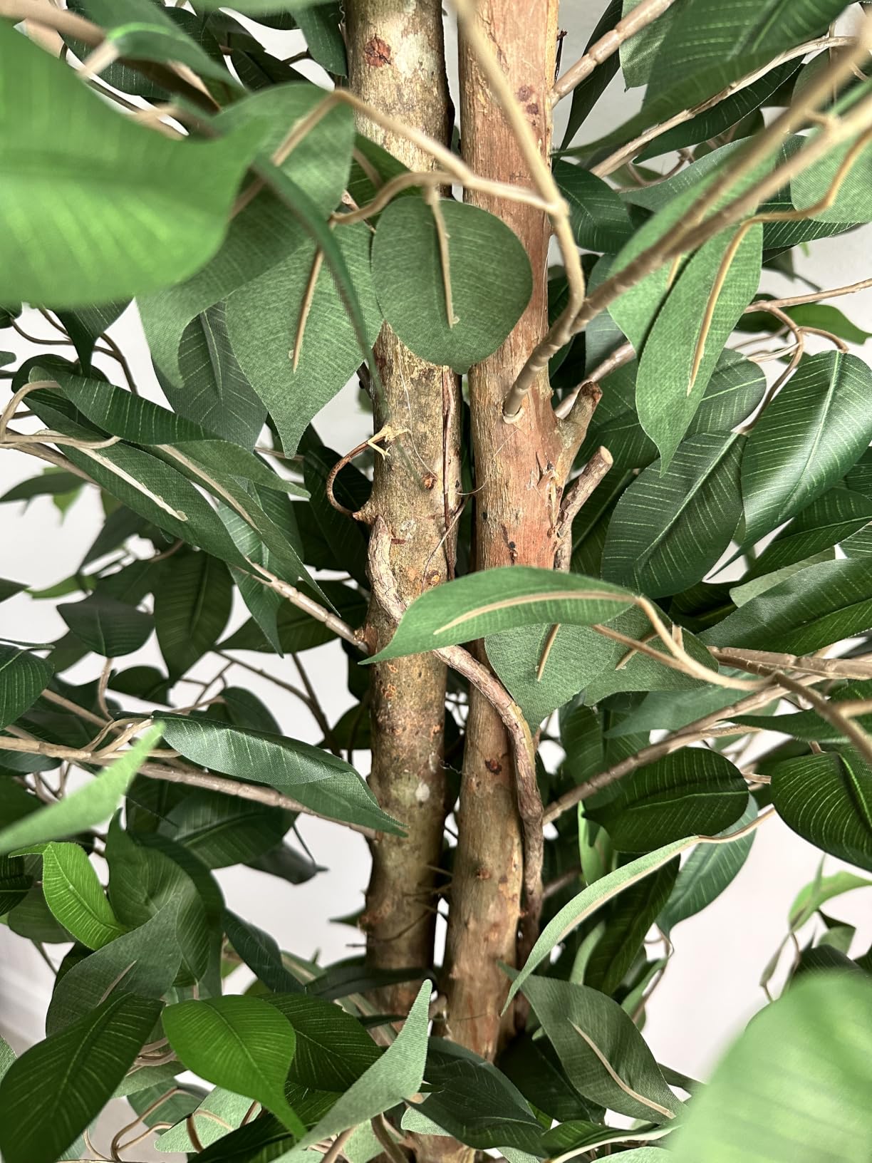 6.2ft Ficus Artificial Trees with 3 Natural Curved Trunks, 74