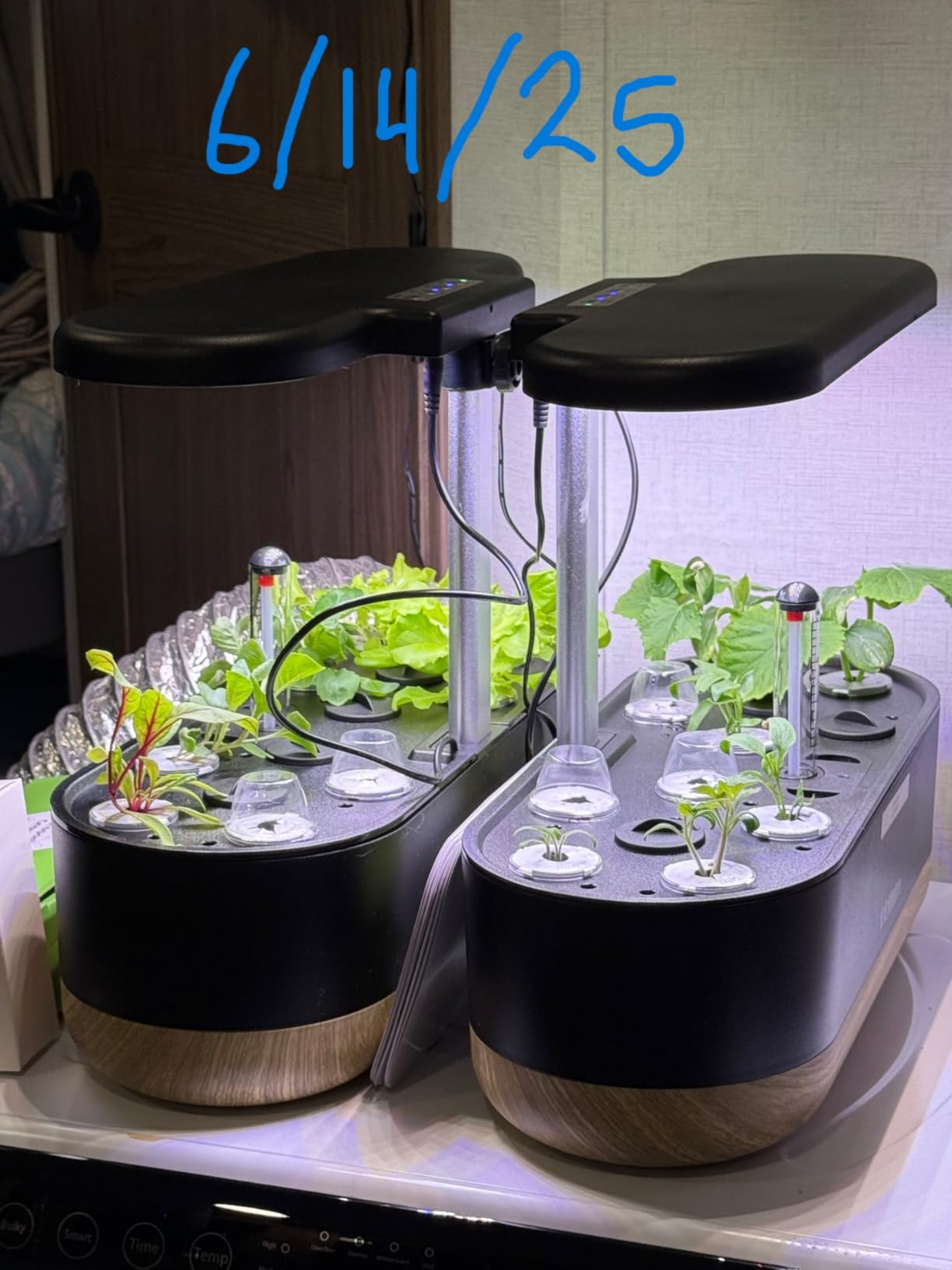 inbloom Hydroponics Growing System 12 Pods, Indoor Herb Garden with LEDs Full-Spectrum Plant Grow Light, Water Shortage Alarm, Automatic Timer, Height Adjustable, Gardening Gifts for Women customer photo 2