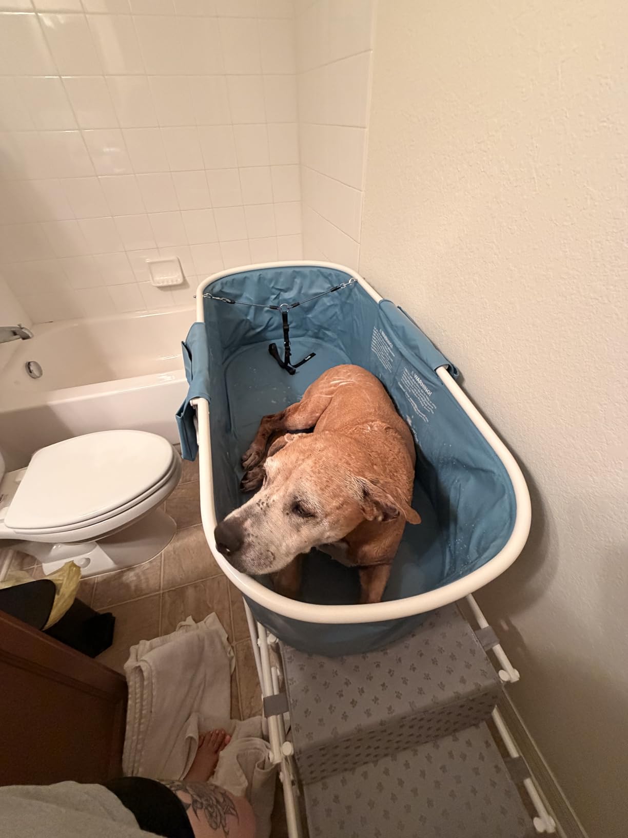 Furesh Foldable Dog Washing Station for Large Dogs with Stairs customer photo 1