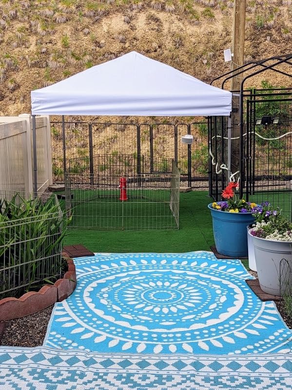 Tangkula 6.6x6.6 Ft Pop Up Canopy, 1 Person Instant Setup Canopy Tent with Center Lock, UPF 50+ Sun Protection, 8 Stakes, 4 Ropes, Portable Outdoor Canopy with Carrying Bag customer photo 1