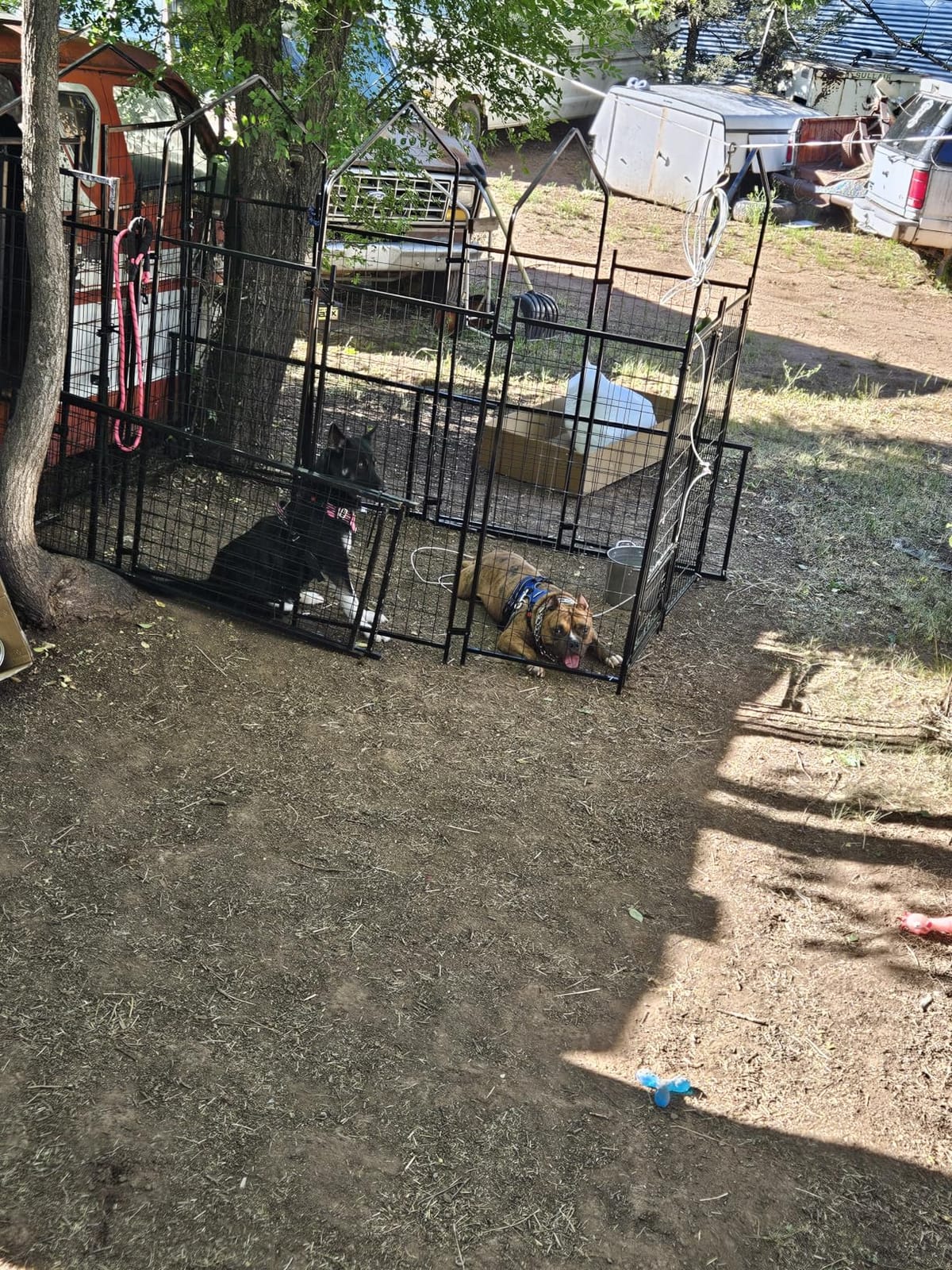 LEMBERI 8x4x6FT Outdoor Dog Kennel for Large Dogs, Heavy Duty | Escape-proof galvanized steel dog run with double-latch gate, reflective silver waterproof roof, 2 stainless steel bowls customer photo 2