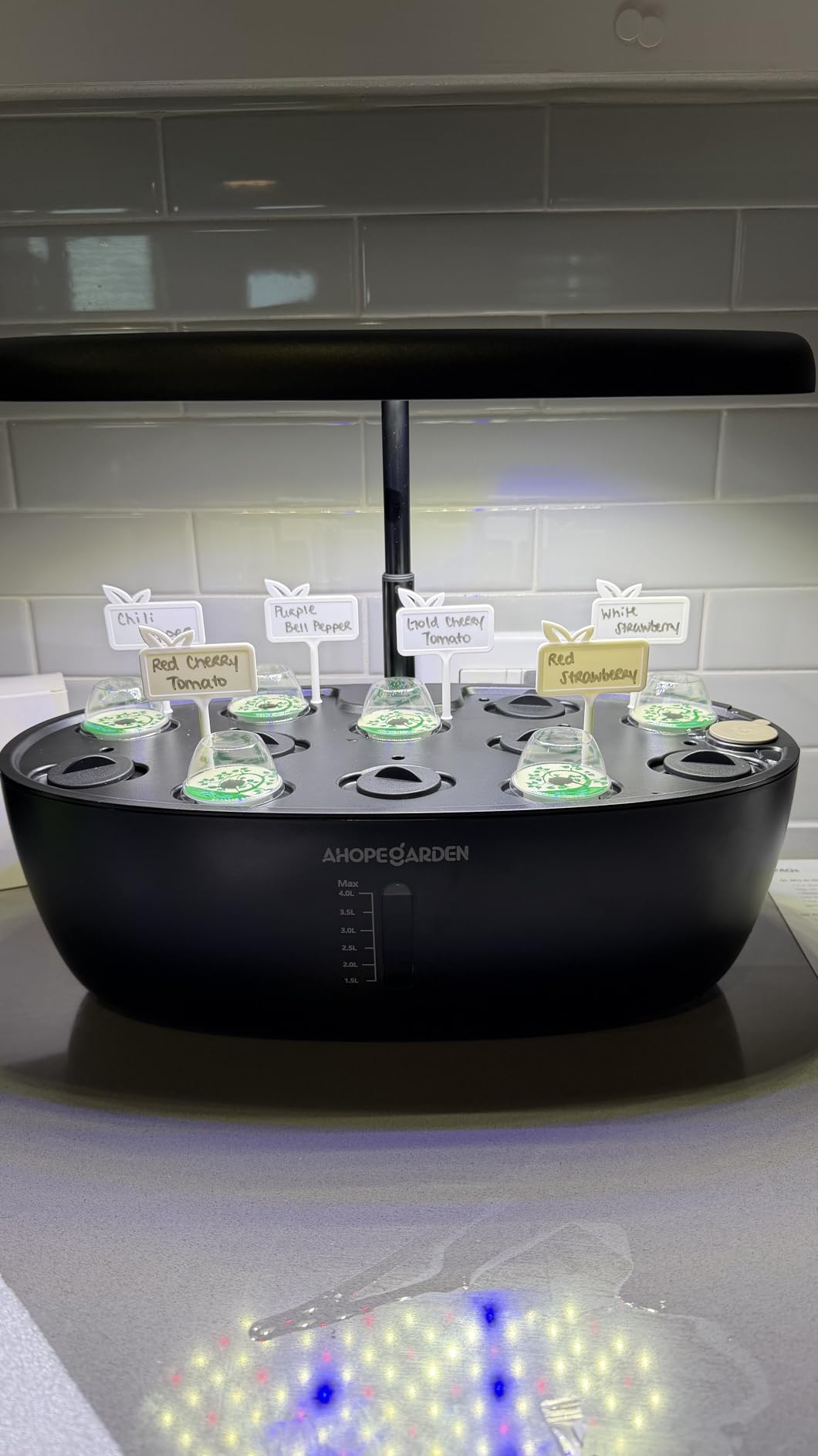 Ahopegarden Hydroponics Growing System: 12 Pods Indoor Herb Garden with LED | Plant Germination Kit with LED Grow Light, Countertop Herb Garden, Hydrophonic Planter Grower Harvest Vegetables Lettuce customer photo 2