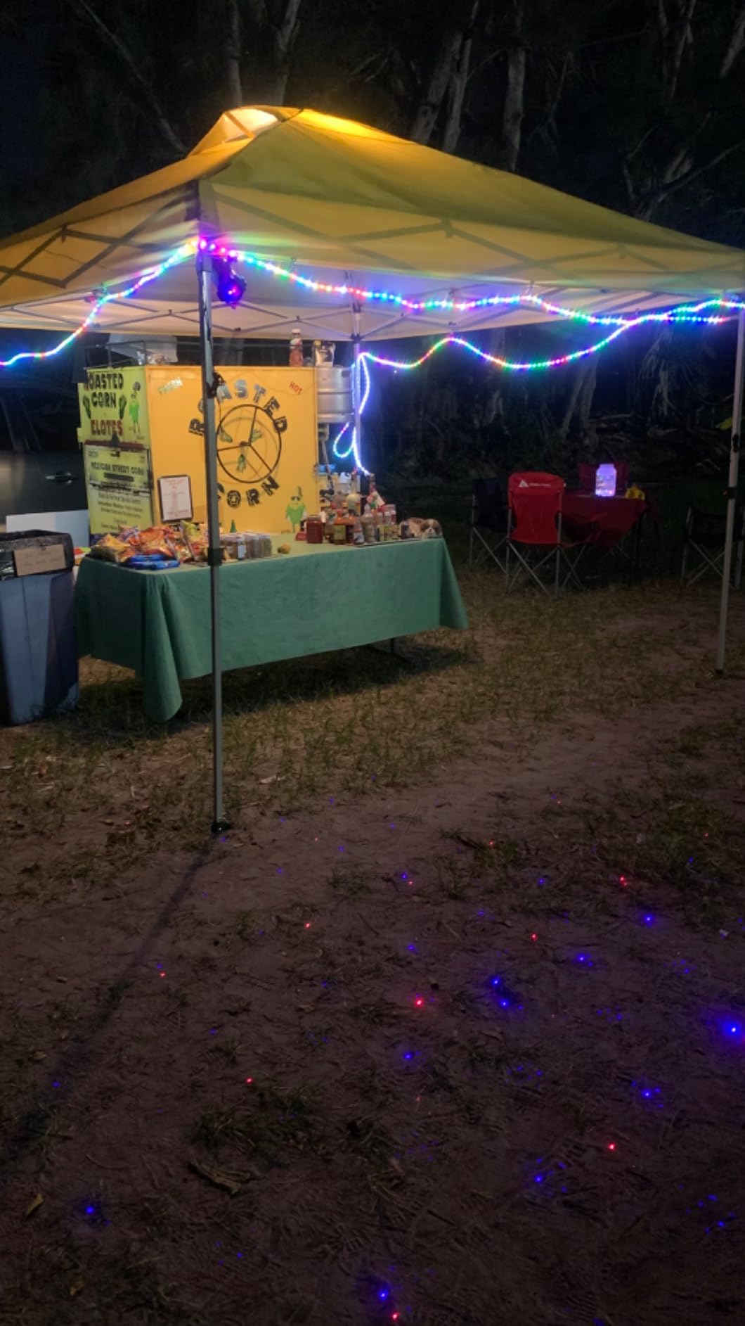 Laser Christmas Projector Lights Outdoor, Firefly Light Show for Trees | 3 Colors, RF Remote, Waterproof, Indoor Holiday Halloween Decoration customer photo 2