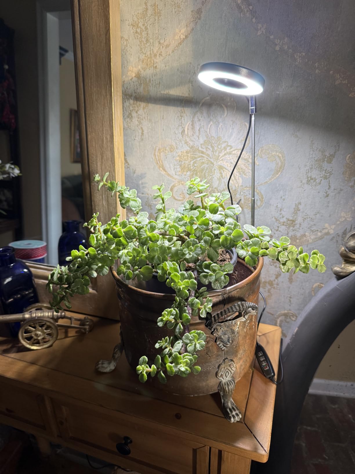 Aokrean Grow Lights for Indoor Plants, Full Spectrum Plant Light with Base | 48 LEDs Halo Grow Lamp for Small Plants, Base/Soil Insert, 6.5-26in Adjustable,3 Spectra, 3/9/12H Timer, 10 Brightness,3 Pack customer photo 1