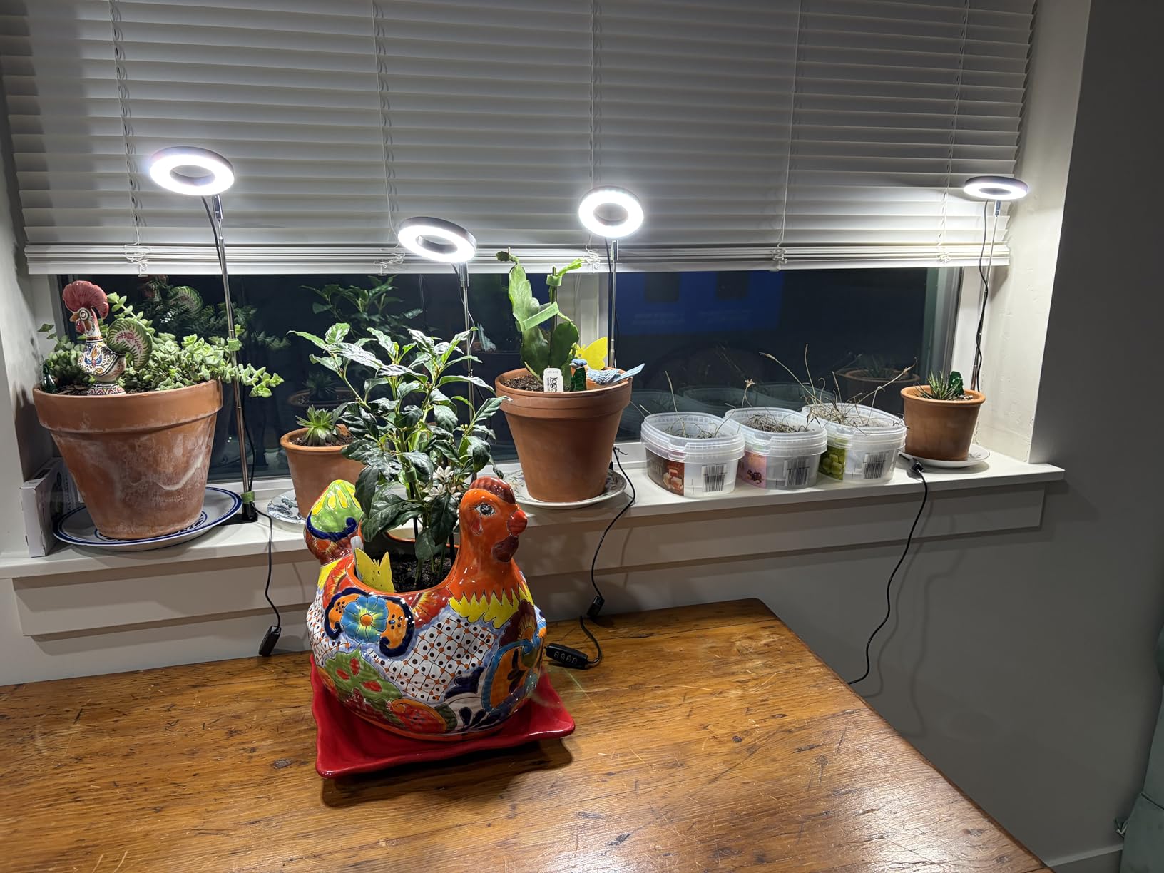 Aokrean Grow Lights for Indoor Plants, Full Spectrum Plant Light with Base | 48 LEDs Halo Grow Lamp for Small Plants, Base/Soil Insert, 6.5-26in Adjustable,3 Spectra, 3/9/12H Timer, 10 Brightness,3 Pack customer photo 2