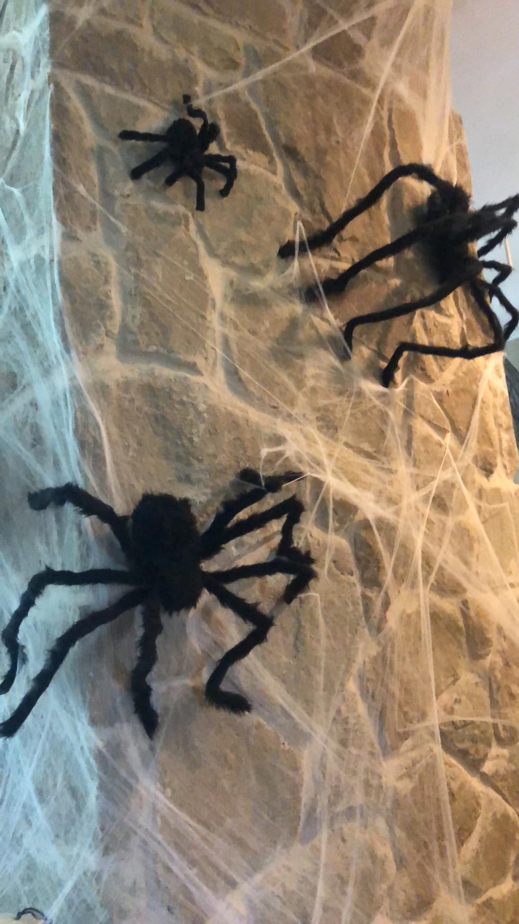 Halloween Decorations Outdoor Giant Spiders: 3 Pack Scary Fake Spider Decor (79