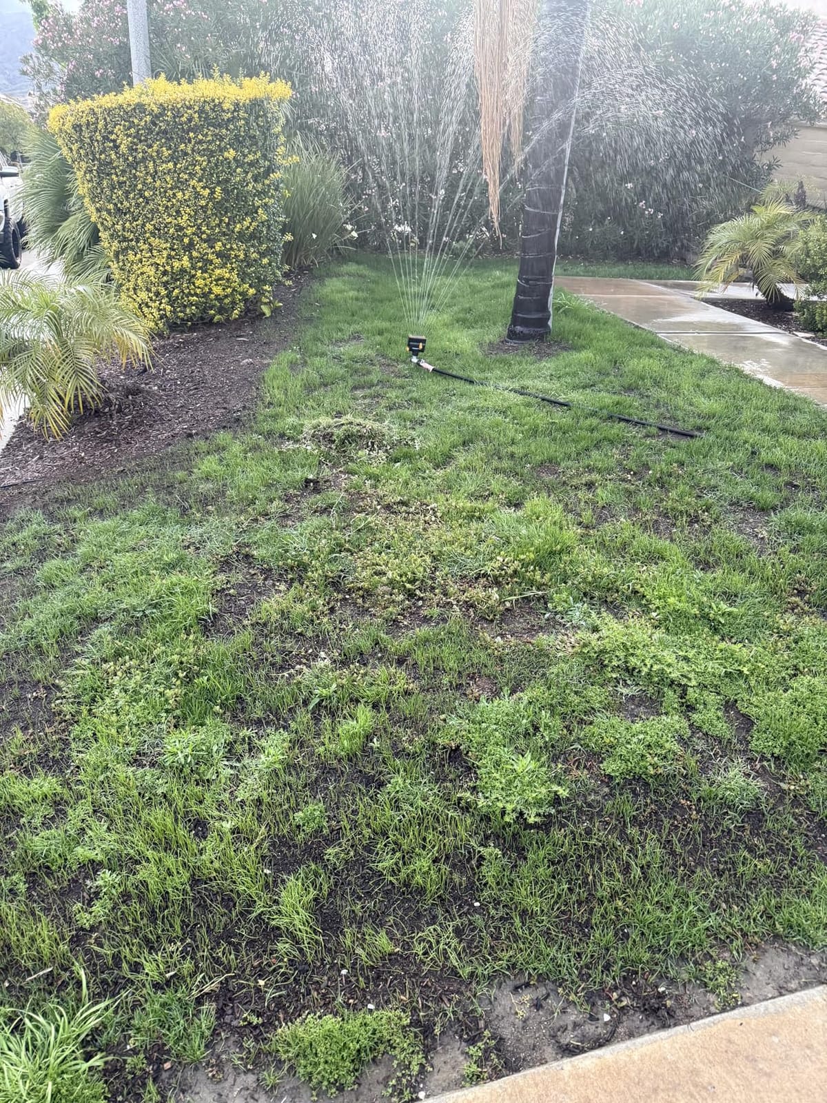 Melnor MiniMax Spike Sprinkler, 4000 Sq Ft: 360°, Flow, Width, Range Adjust | 65137AMZ | Dirt-Resistant Drive | Flow-Through Base | Metal Step Spike | 360° Rotation | Compact Design customer photo 1
