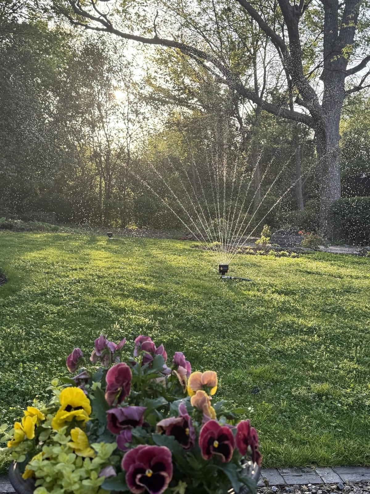 Melnor MiniMax Spike Sprinkler, 4000 Sq Ft: 360°, Flow, Width, Range Adjust | 65137AMZ | Dirt-Resistant Drive | Flow-Through Base | Metal Step Spike | 360° Rotation | Compact Design customer photo 2