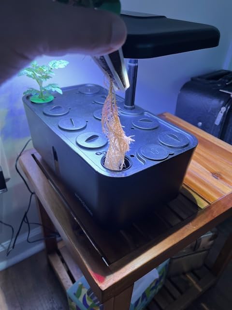 Ahopegarden Indoor Garden Hydroponics Growing System: 10 Pods Kit with LED | Plant Germination Kit Herb Vegetable Growth Lamp Countertop, Hydroponic Planter Grower Harvest Lettuce for Beginner Gardeners customer photo 1