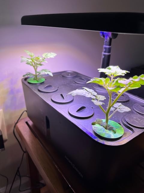 Ahopegarden Indoor Garden Hydroponics Growing System: 10 Pods Kit with LED | Plant Germination Kit Herb Vegetable Growth Lamp Countertop, Hydroponic Planter Grower Harvest Lettuce for Beginner Gardeners customer photo 2