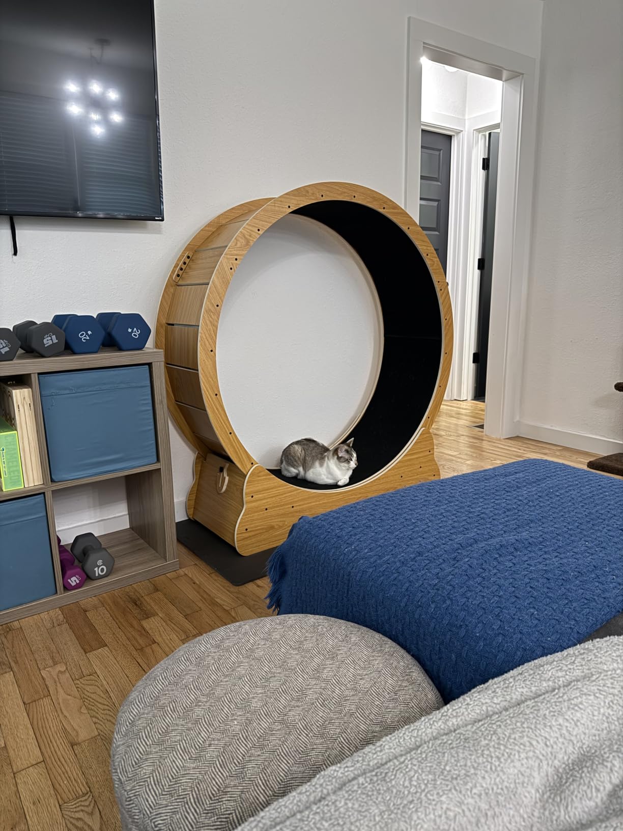 Nordic Beast 48'' XL Cat Wheel - Safe, Quiet & Stable Exercise Wheel for Large Indoor Cats up to 45 lbs customer photo 1