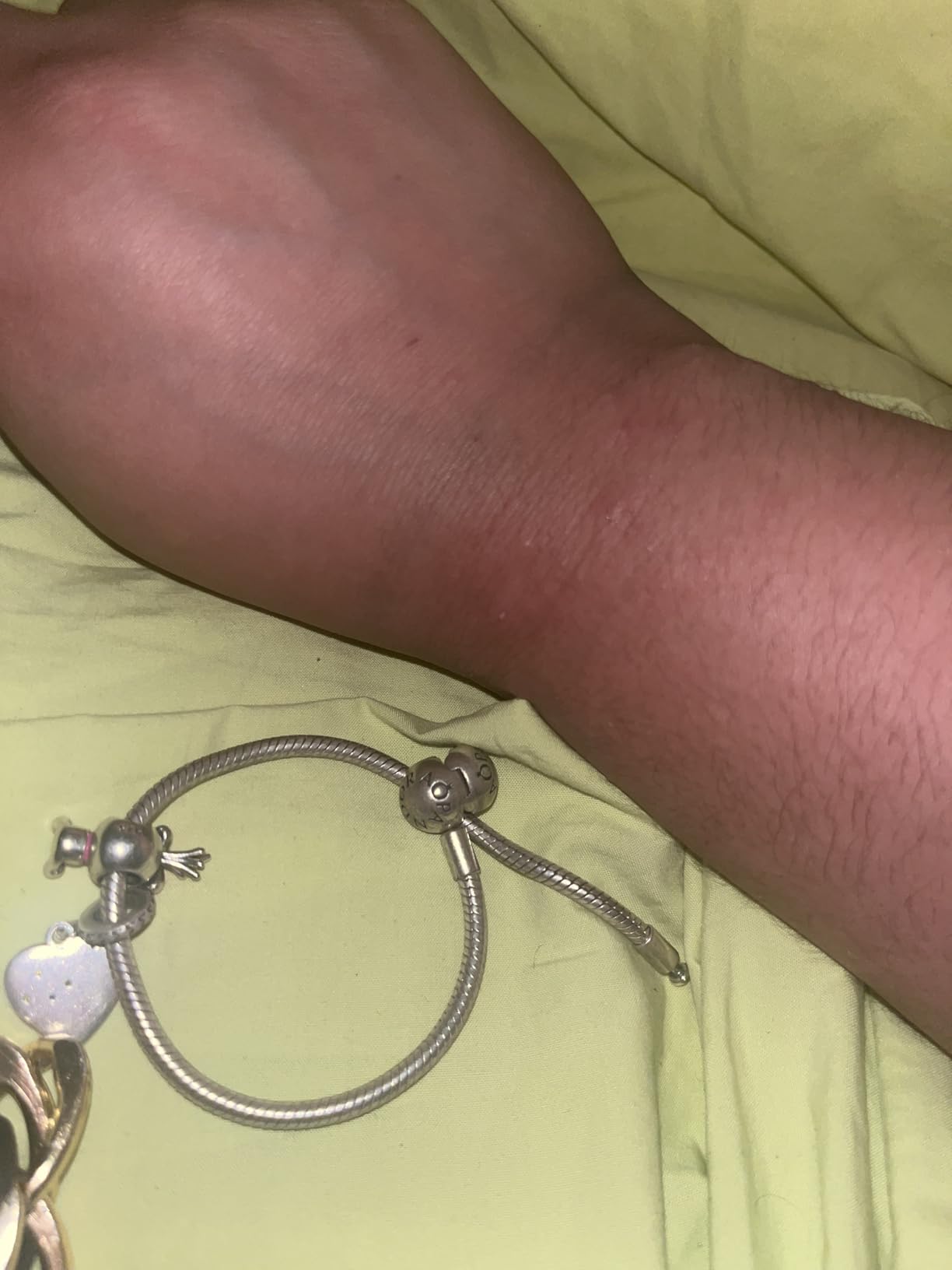 PANDORA Moments Snake Chain Bracelet customer photo 2