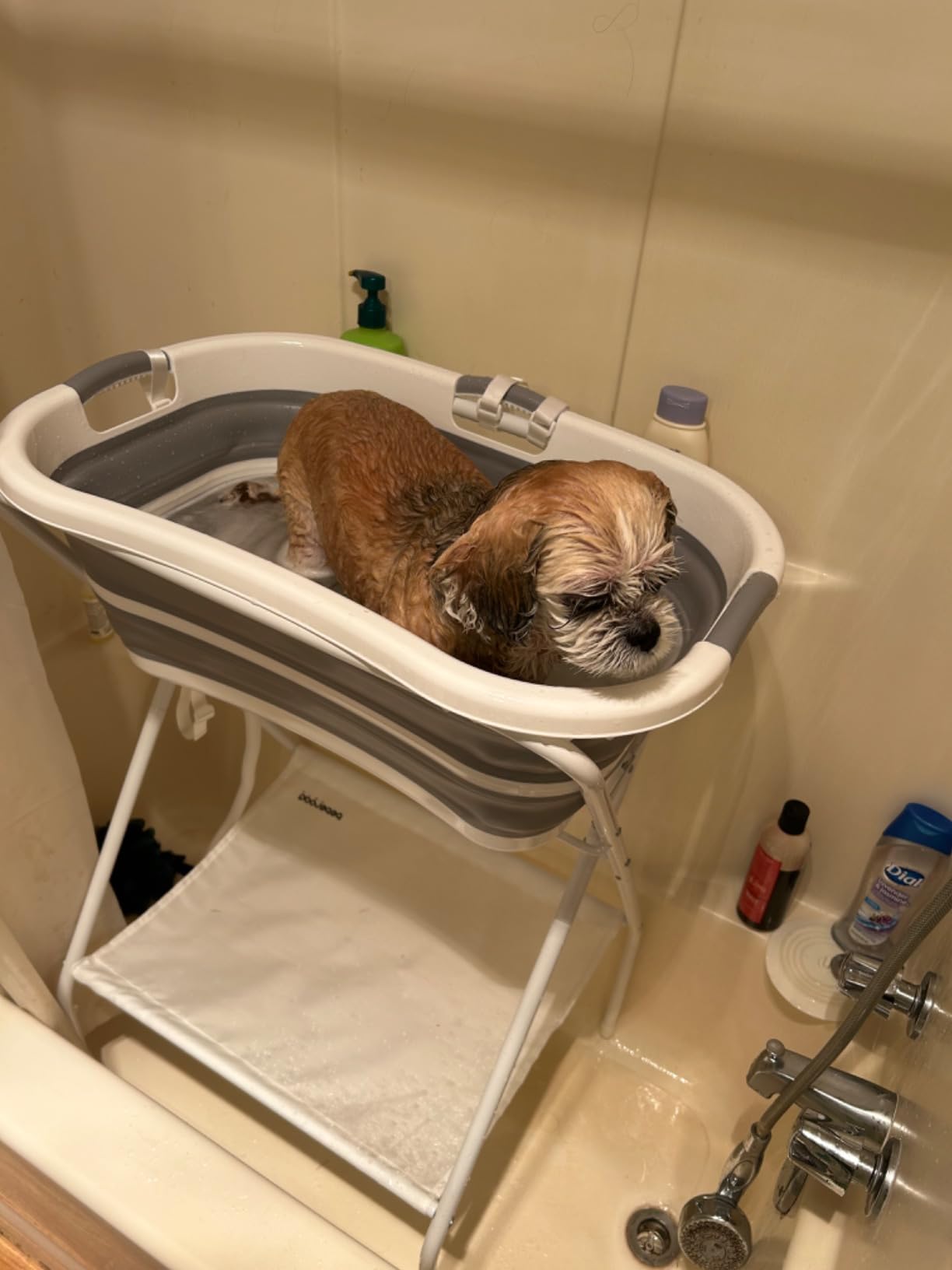 Beberoad 2 in 1 Dog Bath Tub Dog Washing Station for Bathing and Grooming, Elevated Collapsible Foldable Portable Shower Bathtub for Small Dogs Cats Pet, Indoor and Outdoor customer photo 1