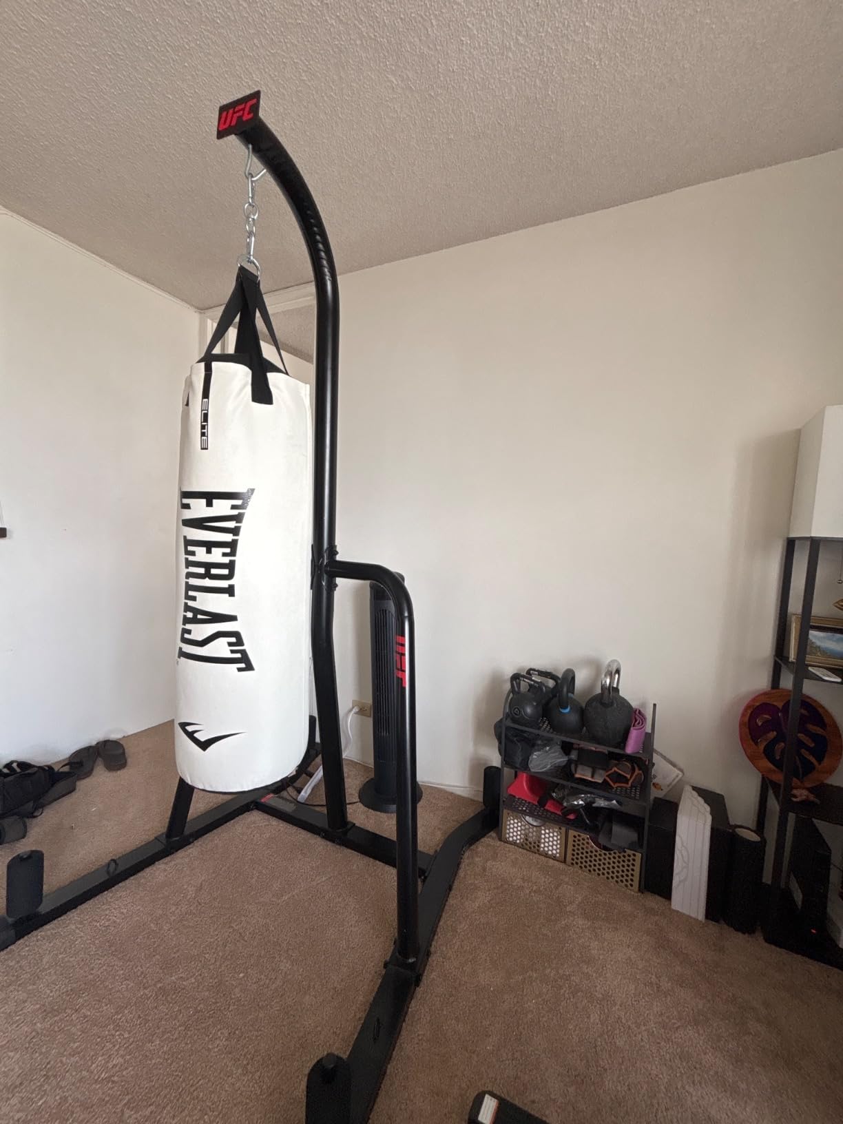 Everlast Elite Punching Bag | Durable Boxing MMA, Adults | Muay Thai customer photo 1