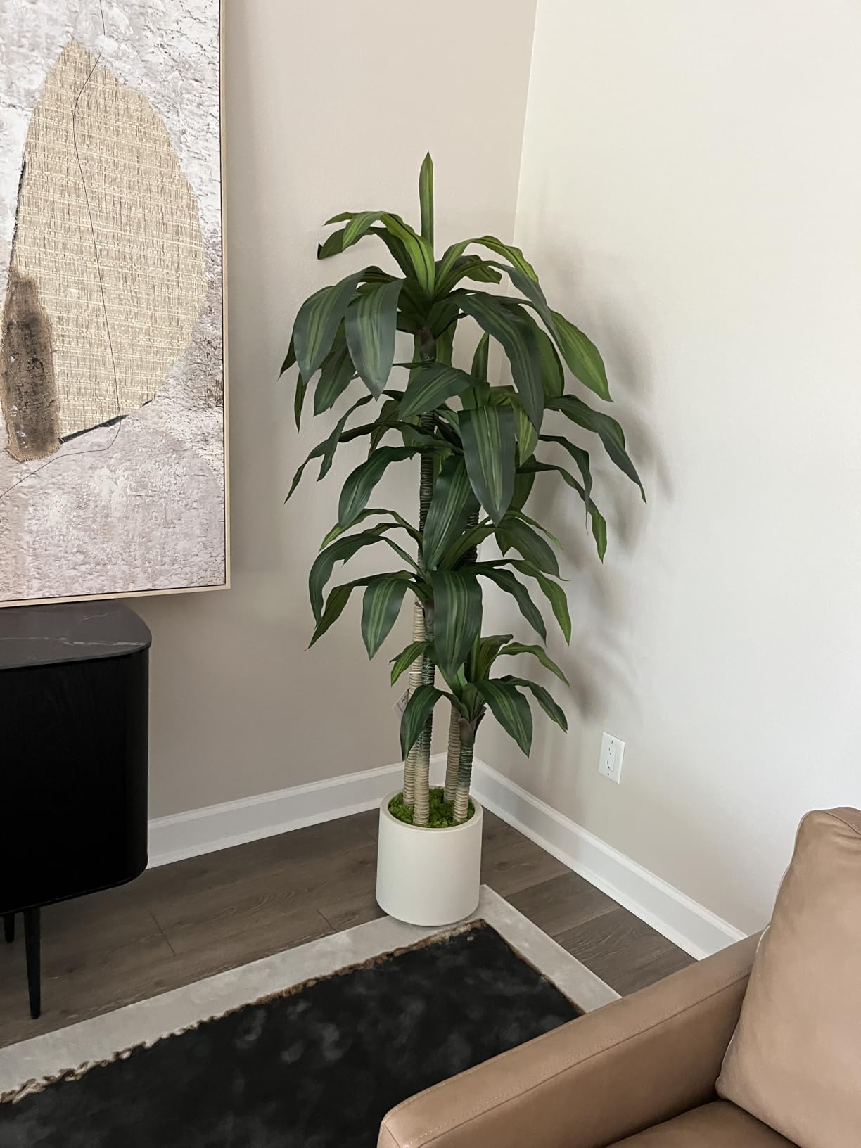 Artificial Dracaena Tree 6ft, Tall Fake Dracaena Plants with White Planter, Faux Dragon Tree Indoor Floor Plant for Home Decor Office Living Room Porch Housewarming, 1Pcs customer photo 1