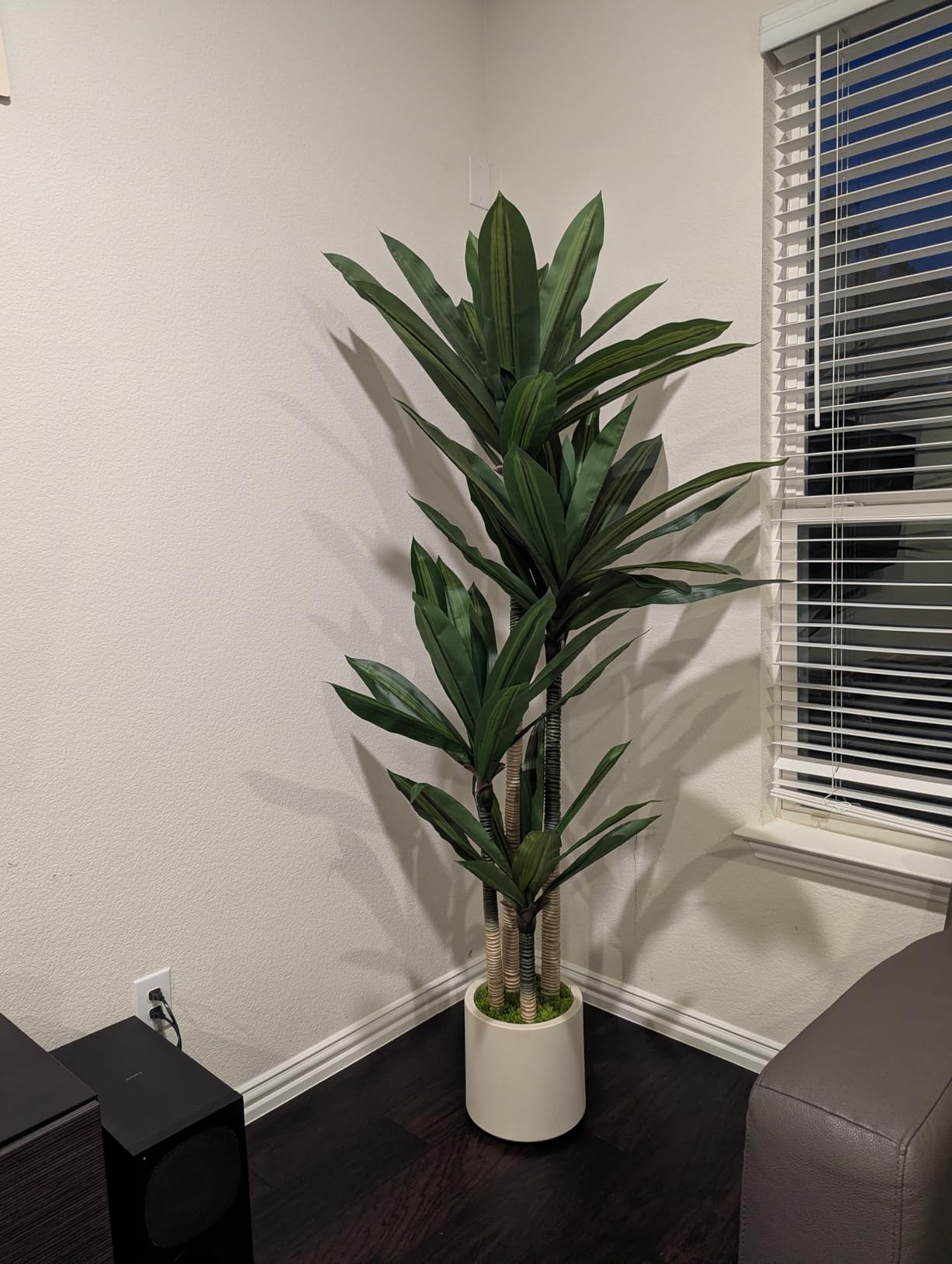 Artificial Dracaena Tree 6ft, Tall Fake Dracaena Plants with White Planter, Faux Dragon Tree Indoor Floor Plant for Home Decor Office Living Room Porch Housewarming, 1Pcs customer photo 2