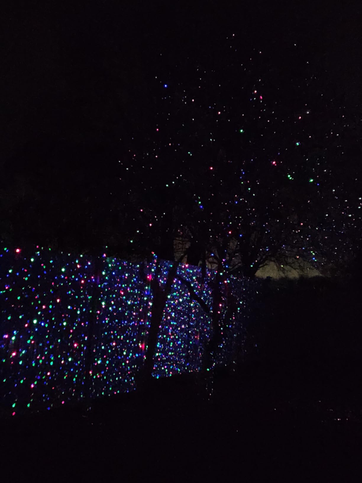 Outdoor RGB Laser Projector Lights 3 Color Starry Sky Firefly Effect | IP65 Moving Projection Light with Remote for Christmas Halloween Parties, Garden, Yard, New Year - Holiday Landscape Decor customer photo 2