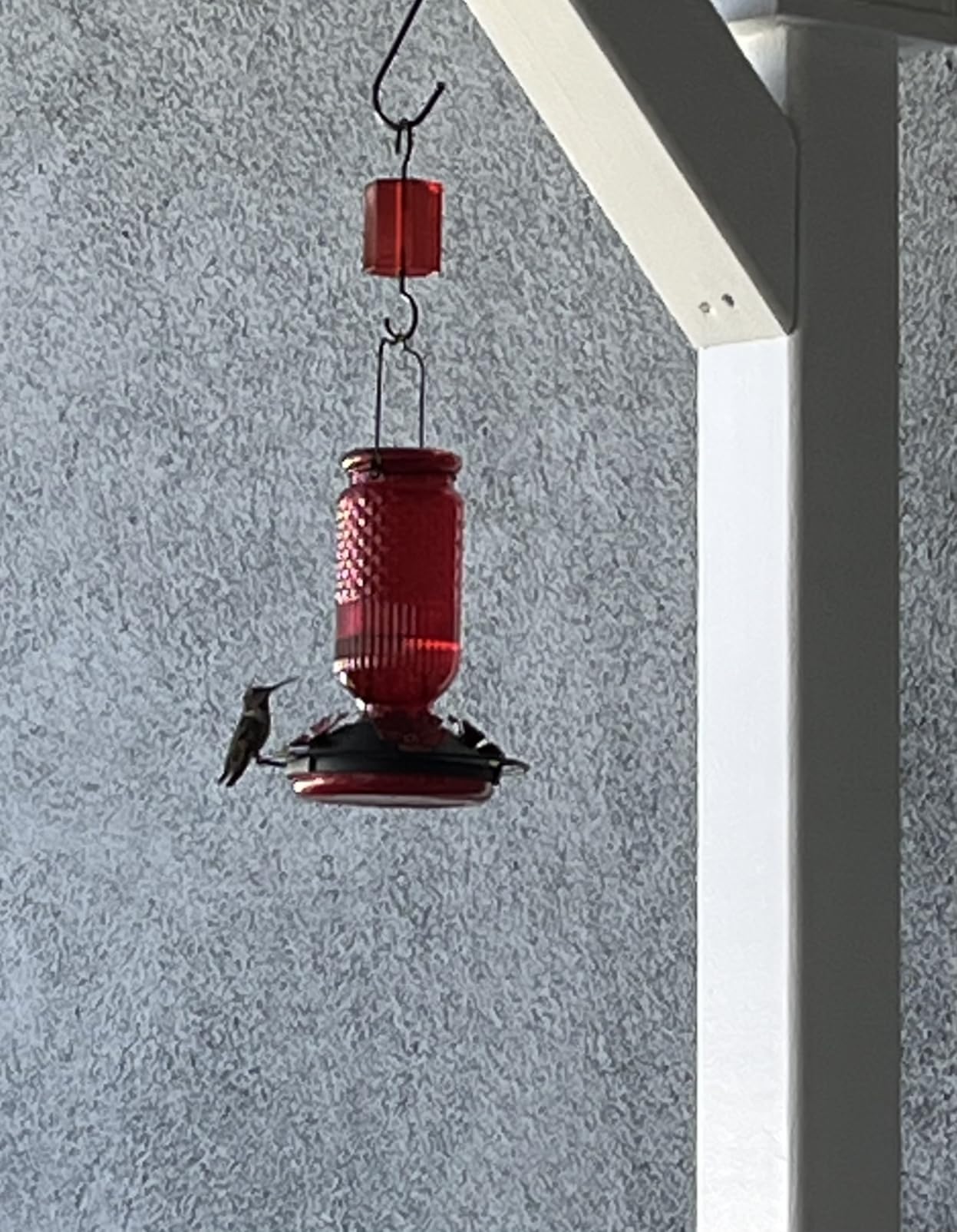 FEED GARDEN Glass Hummingbird Feeder for Outdoors Hanging, 16 oz Leak-Proof Nectar Feeder with Bee Guards & Ant Moat, 4 Metal Flower Feeding Ports, 360° Perch Ring, Easy Refill & Clean, Red customer photo 2