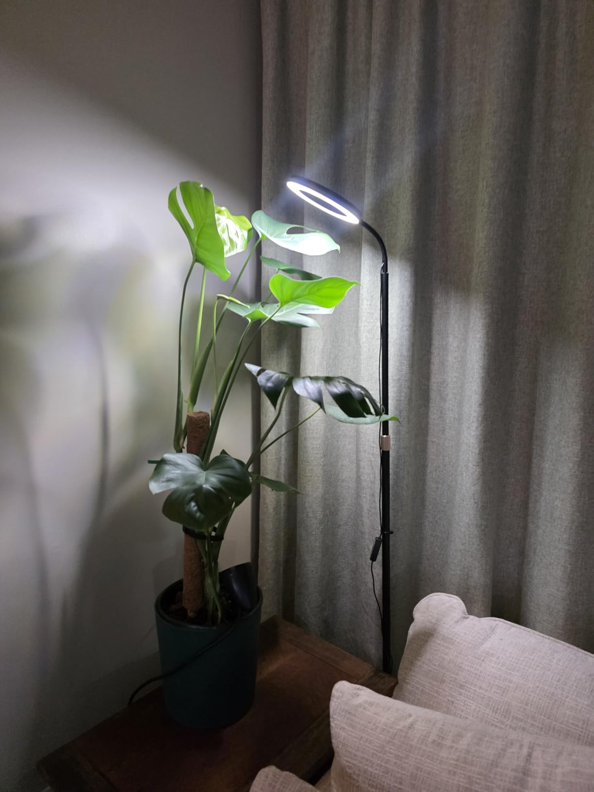 LBW Grow Light with Stand for Indoor Plants, Adjustable Height up to 68