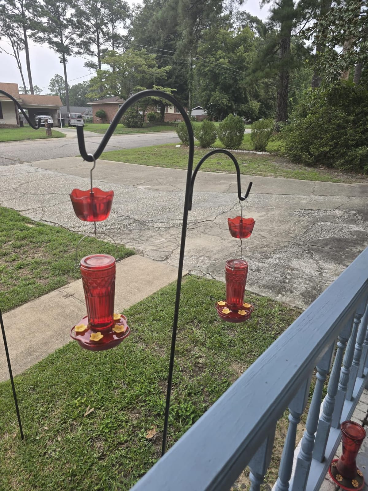 2 Pack Glass Hummingbird Feeders for Outdoors 14 Ounces, 5 Feeding Ports Hummingbird Feeder, Wide Mouth for Easy Filling/Cleaning, Hanging for Garden Backyard Decor, Includes Ant Moat (Red, 2 Pack) customer photo 1