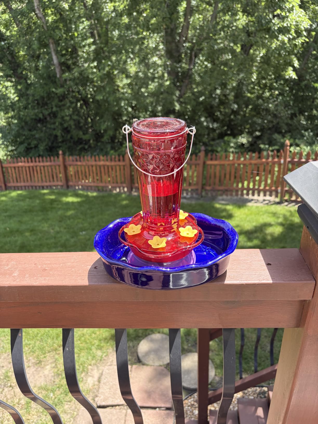 2 Pack Glass Hummingbird Feeders for Outdoors 14 Ounces, 5 Feeding Ports Hummingbird Feeder, Wide Mouth for Easy Filling/Cleaning, Hanging for Garden Backyard Decor, Includes Ant Moat (Red, 2 Pack) customer photo 2