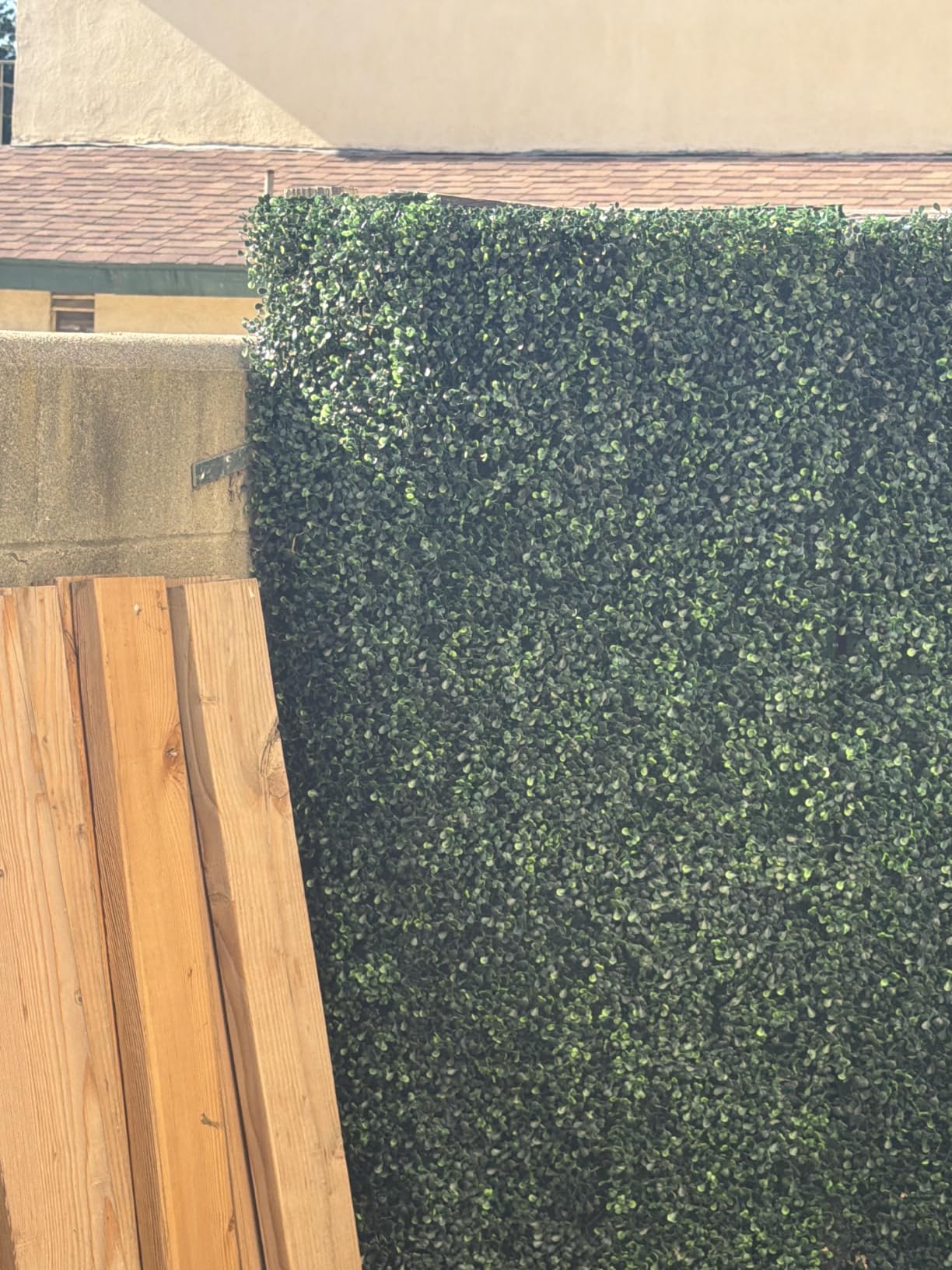 ODTORY Artificial Hedge Privacy Fence Screen, 24X16 in 12P (32 sqft) | UV-Anti Boxwood Panel, Faux ivy Greenery Backdrop, Balcony/Garden/Backyard Fence Covering, Indoor Outdoor Green Plant Decor customer photo 2