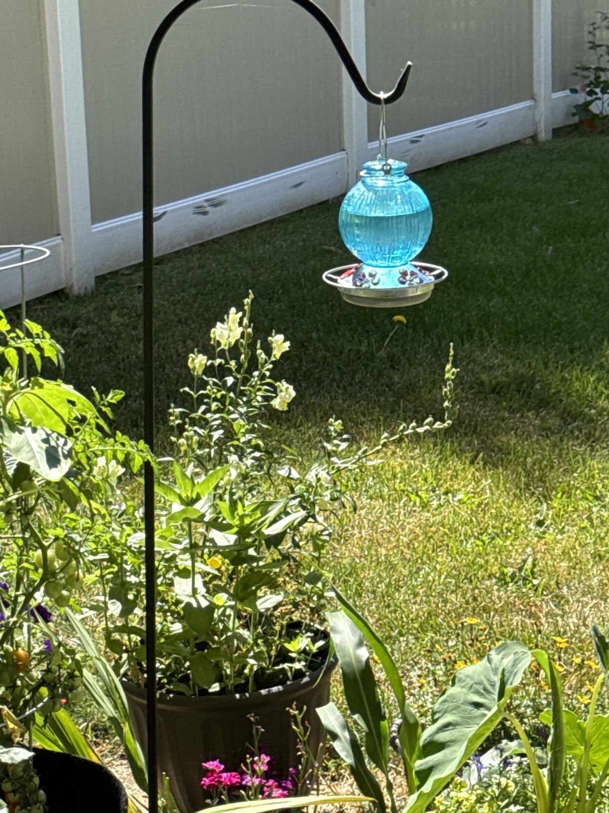 Glass Hummingbird Feeder for Outdoors Hanging, 26 fl oz Bird Nectar Feeder | 5 Metal Flower Feeding Ports, 360° Perch Ring, Easy Refill & Clean, Leakproof, Ideal for Backyard, Garden Outdoor Decor, Red customer photo 1